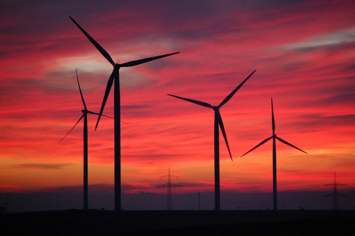 Bild zur Pressemitteilung