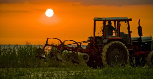 Bild zur Pressemitteilung